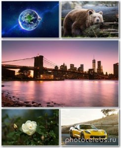  Best HD Wallpapers Pack №1177 