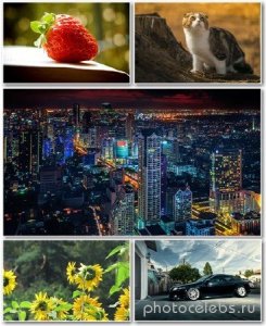  Best HD Wallpapers Pack №1182 