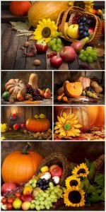  Autumn composition with pumpkin - Stock photo 