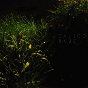  Calico Blue - Calico Blue (2015) 