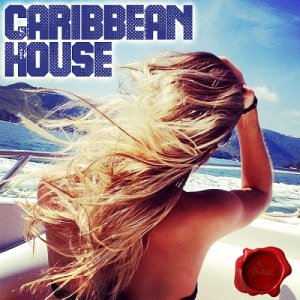  Caribbean House - Divine Groove (2015) 