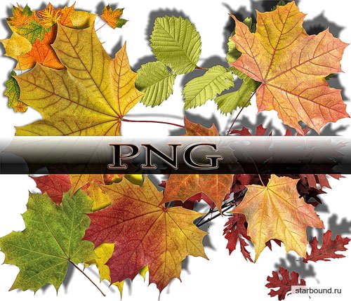 Новые клипарты Png - Осенние листья